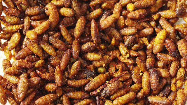 Golden silkworm pupa processing process