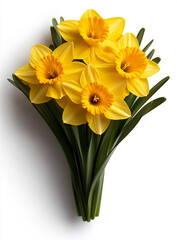 a yellow daffodil plant with several flowers on it, green leaves, a