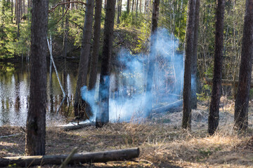 The smoke of an incipient fire in a wild forest. A fire-hazardous situation of flames among the trees. Protect the forest from fire.