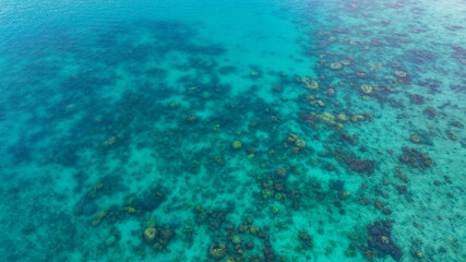 Top view. Summer sea water, blue surface. The water is clear with ripples and sparkles in the sunlight and you can see coral under the sea.