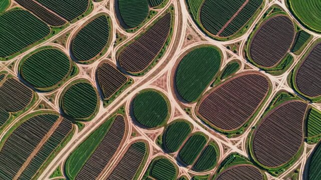 The Aerial Farm Field Patterns