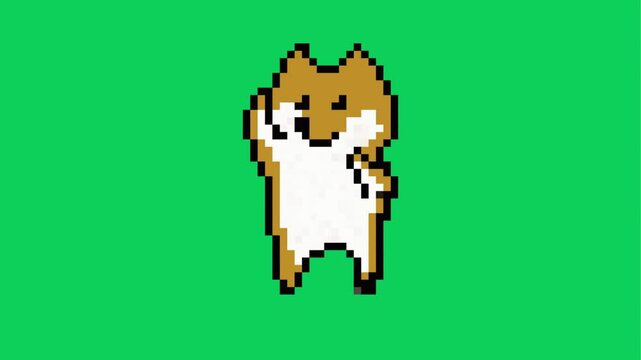 cute dancing shiba inu dog meme pixel animation on green and white screen