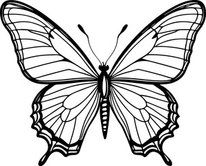 black butterfly vector illustration