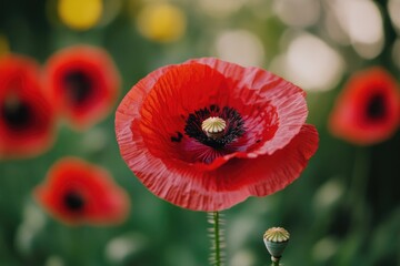 Obraz premium A close-up shot of a bright red flower growing in a lush green field