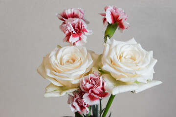 薔薇とカーネーション