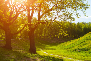 Spring park landscape, spring trees on the hill lit by April sunlight, spring nature view