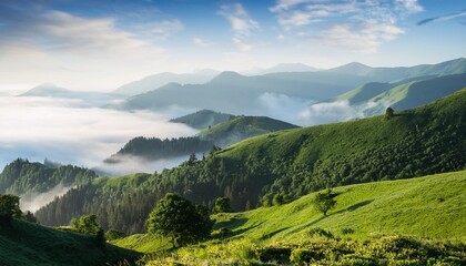 Obraz premium Serene morning mist gently rolling over lush green mountains, captured with a dreamy soft-focus effect. Creates a tranquil and picturesque natural landscape