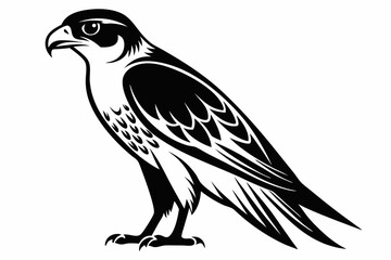 falcon line art silhouette vector illustration