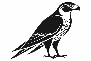 falcon line art silhouette vector illustration