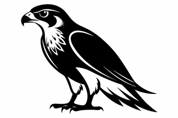 falcon line art silhouette vector illustration