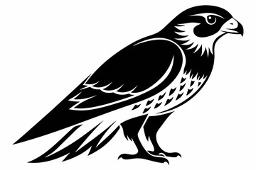 falcon line art silhouette vector illustration