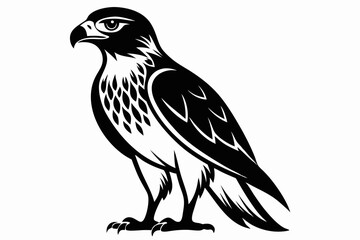 Fototapeta premium hawk line art silhouette vector illustration