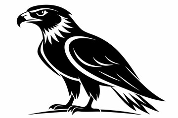 hawk line art silhouette vector illustration