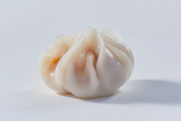 A close-up shot of a single dumpling on a white background