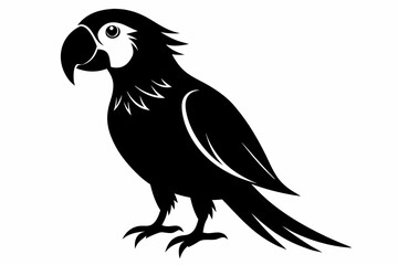 parrot line art silhouette vector illustration