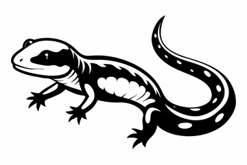 salamander line art silhouette vector illustration