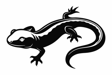 salamander line art silhouette vector illustration