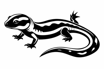 salamander line art silhouette vector illustration