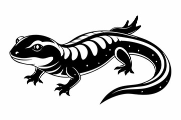 salamander line art silhouette vector illustration