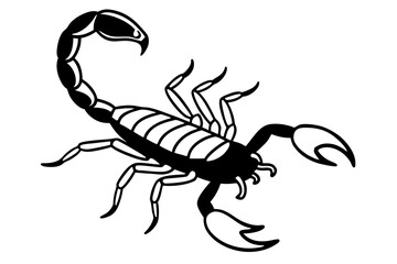 scorpion line art silhouette vector illustration