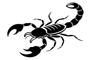 scorpion line art silhouette vector illustration