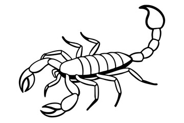 scorpion line art silhouette vector illustration