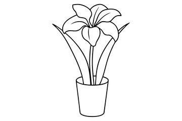 iris flower vase line art silhouette vector illustration