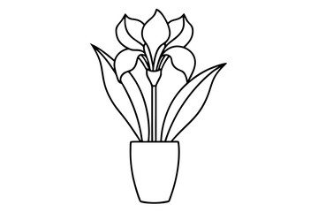 iris flower vase line art silhouette vector illustration
