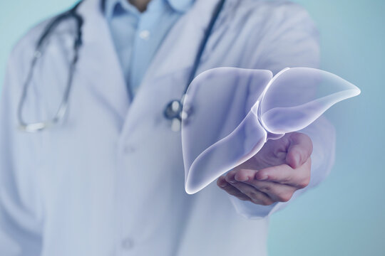 Doctor holding illustration of liver on light blue background, closeup