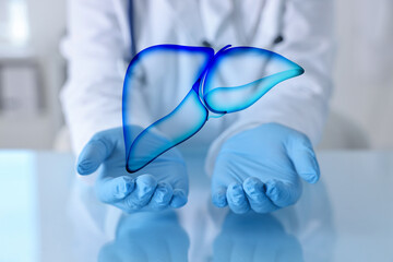 Doctor holding illustration of liver indoors, closeup