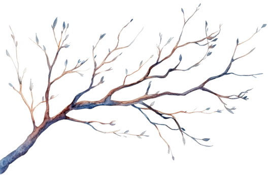 Watercolor branch with delicate leaves on clear bg