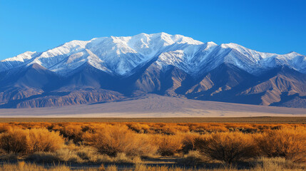 Snow-Capped Mountains with Arid Plains and Clear Blue Sky