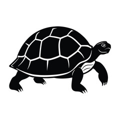 Tortoise Turtle Vector silhouette isolated on white background