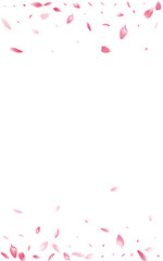 Transparent Cherry Petal Vector White Background.