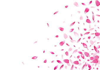 Purple Sakura Petal Vector White Background.