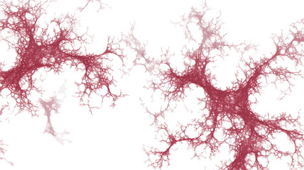 The image depicts a high-resolution digital illustration featuring an abstract fractal pattern. The pattern is primarily composed of thin, branching lines in shades of red and pink against a white
