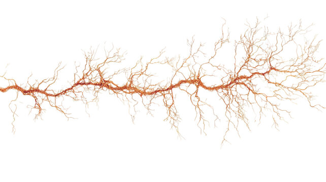 The image displays an abstract pattern resembling a branching structure.  The primary color is a muted orange-brown. The lines are thin and intricately branched, creating a complex network across