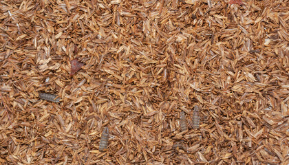 Dried Rice Husk Mulch Organic Farming Material