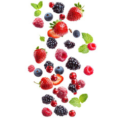 Fresh Assortment of Berries and Mint Leaves on Transparent Background