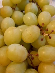 Green grape close up for background