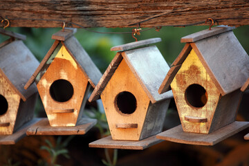 Wooden Birdhouses Hanging in Natural Outdoor Setting