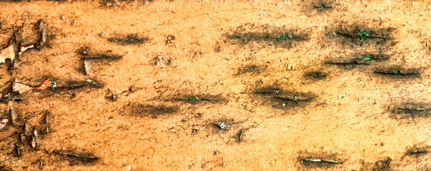 Old Wall Surface Abstract Textured Background Design