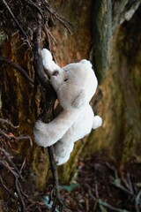 
Little bear playing between the trees and haunting the forest. A playful teddy bear on an adventure playing hide and seek in nature. A hidden cuddly toy looking for a child to play with.