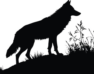 Majestic Wolf Silhouette Isolated on Blank Background