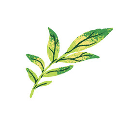 Icon of sprig with green leaves. Abstract herb, little twig with leafage. Fresh foliage on branch. Meadow or forest flora, nature. Flat isolated hand drawn vector illustration on white background