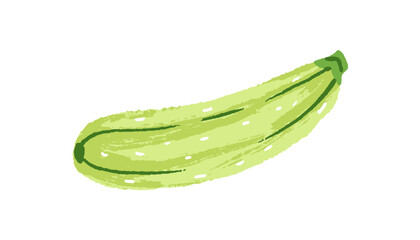 Green zucchini icon. Whole courgette, squash. Fresh vegetable, natural veggie, healthy farm food. Agriculture harvest, farmer crop. Flat isolated hand drawn vector illustration on white background