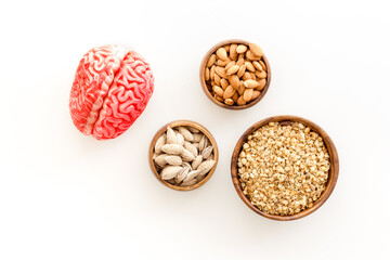 Human brain model with nuts and grain, top view. Healthy food for the brain