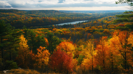 Fototapeta premium Fall Colors in Gatineau Park, Quebec – Stunning autumn landscapes