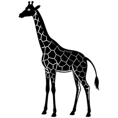 Obraz premium a tall and graceful black silhouette of a giraffe standing with its long neck stretched upwards 