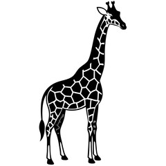 Naklejka premium a tall and graceful black silhouette of a giraffe standing with its long neck stretched upwards 